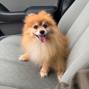 Meet your Posher, Savanna